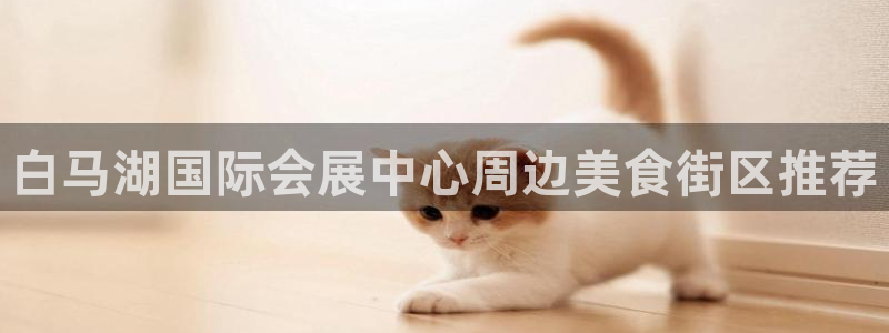 果博公司直属会员开户